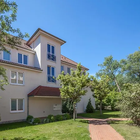 Waterkant 06 - Strandhafer Boltenhagen (Ostseebad)