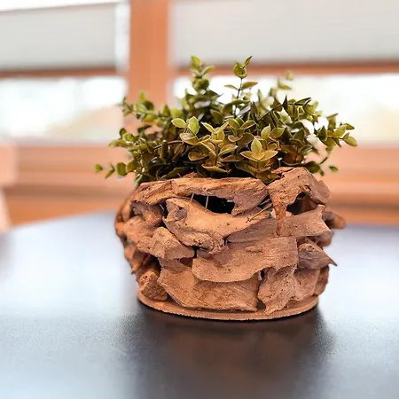 Waterkant 06 - Strandhafer *