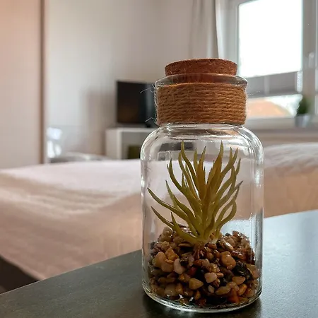 Waterkant 06 - Strandhafer Boltenhagen (Ostseebad)